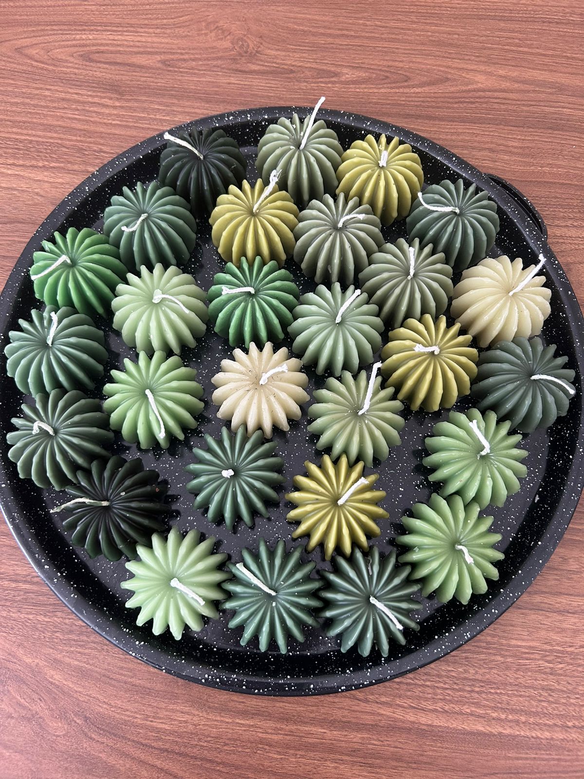 Cactus redondo